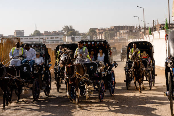 Carriage ride in Edfu, Egypt Edfu, Egypt - 11-5-2019: In Edfu, horse carriages are the way that locals transport tourists between the Nile River Cruises and the Temple of Horus. mezitli escort stock pictures, royalty-free photos & images