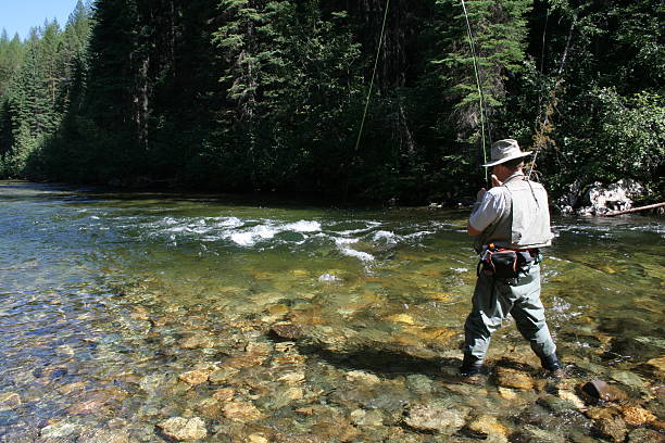 istock A man fishing in a steady river 139963167