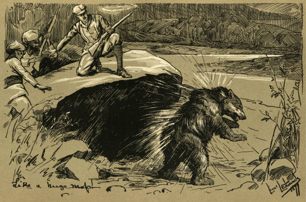 ilustrações, clipart, desenhos animados e ícones de caçador atirando em um urso, caxemira, esportes de caça vitorianos, 1890, século xix - illustration and painting rifle hunting old fashioned