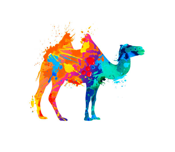 ilustrações, clipart, desenhos animados e ícones de silhueta de camelo bactriano de tinta de respingo - bactrian camel