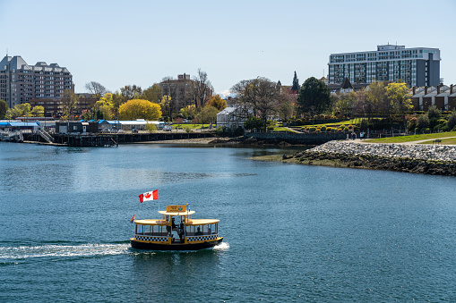 Victoria, BC, Canada - April 14 2021 : Water taxi on Victoria Inner Harbour.