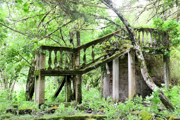 Overgrown ruins of abandoned mansion, Abkhazia