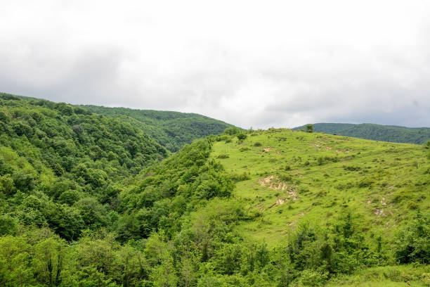 istock Alpine meadows, foggy mountains at Abkhazia (Kodori Gorge) 1399636035