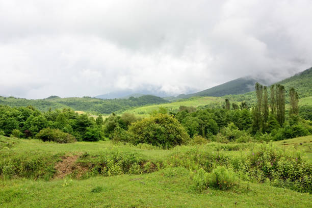 istock Alpine meadows, foggy mountains at Abkhazia (Kodori Gorge) 1399636071