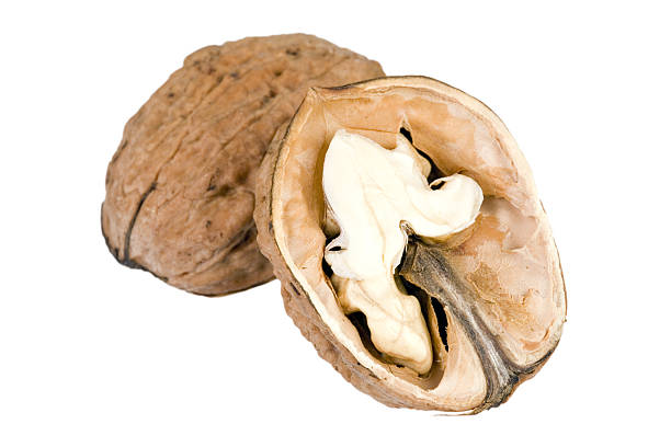 walnut closeup with path on white background stock photo