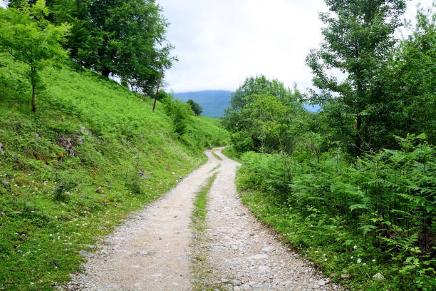 istock Mountain road with trees at Abkhazia (Kodori Gorge) 1399636666