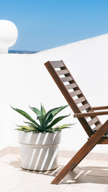 istock Chair and Aloe vase on a white balcony with blue sky 1399636779