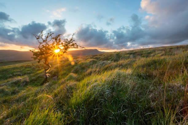 brecon beacons sonnenuntergang - brecon beacons nationalpark stock-fotos und bilder