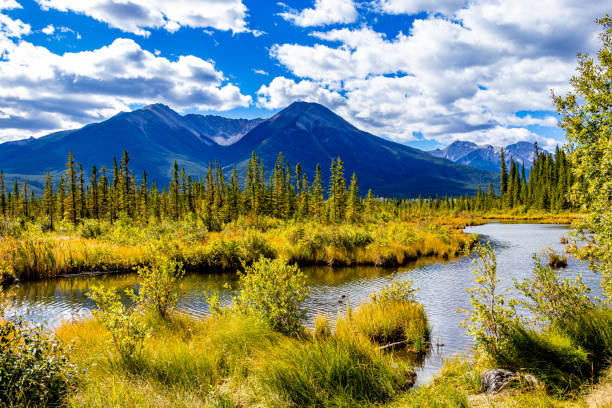 istock Vermillion Lakes Banff National Parks Alberta canada 1399639758