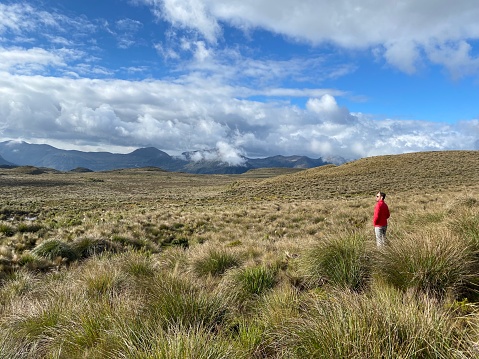 Young handsome latin male backpacker hiking and enjoying his vacation time walking and hiking on the Sierra's Highlands, in front of Pichincha, Cayambe, Cotopaxi's Volcanoes with a blue sky in a midday near to Quito, Pichincha's Province, Ecuador, Latin America.