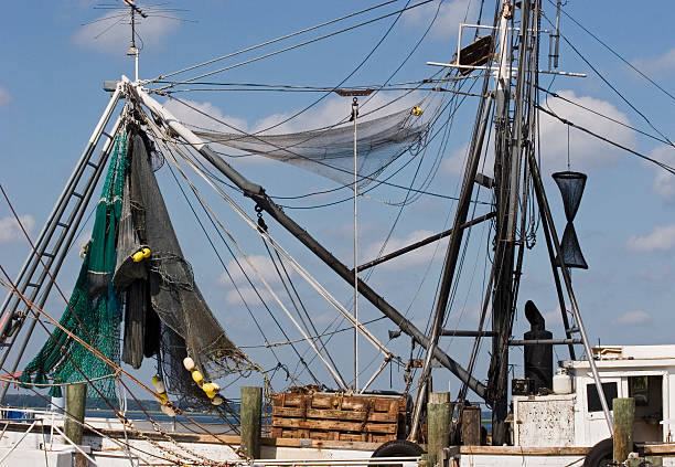 This is one of a fleet of shrimp boats that line up at the Fernandinia Beach port. The shrimp boat was invented in Fernandina Beach Florida as the local museum states.