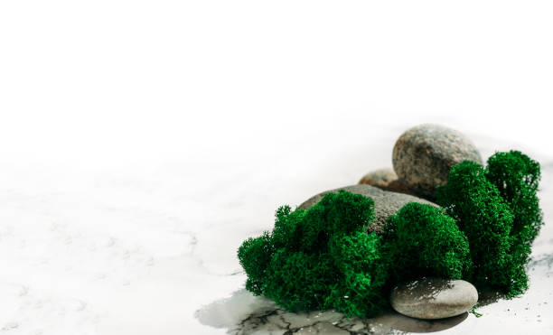 istock natural background for product presentation. 1399649862