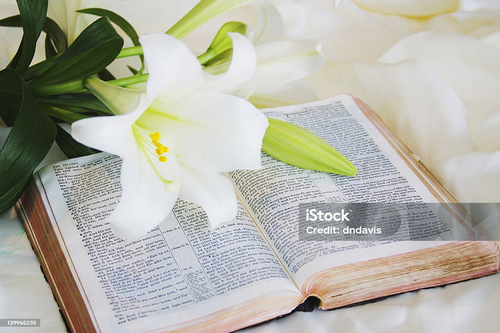 Easter Lily and Bible Easter Stock Photo