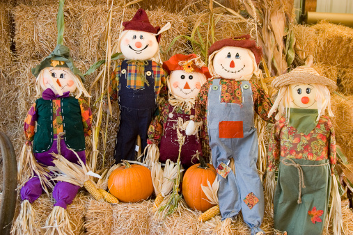 halloween or fall decorations of pumpkins corn stalks hay flowers gourds an old truck and many autumn themed decorations