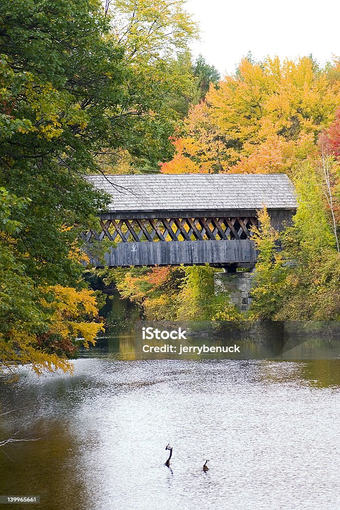 Puente cubierto - Foto de stock de Cubrir libre de derechos