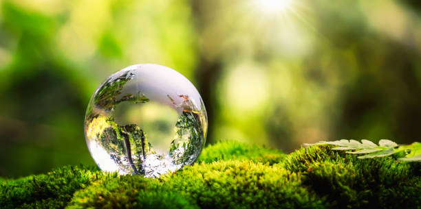 istock globe glass on grass with sunshine. environment concept 1399657134
