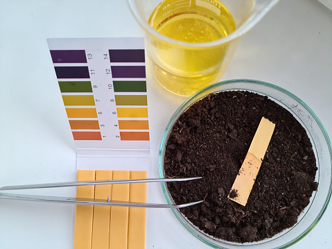 Earth with PH test stripe and yellow liquid in laboratory. Soil research microbiology toxicity and control concept