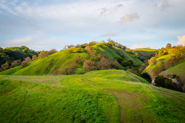 マウントディアブロ州立公園 - mountain states ストックフォトと画像