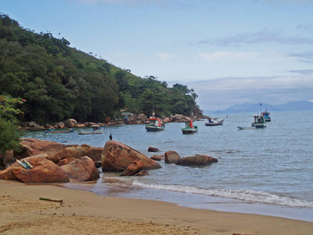 istock Picinguaba Beach, Ubatuba, Brazil (Brazil) 1399677502