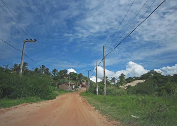 istock Dirt road at Jenipabu, Brazil (Brasil) 1399678041