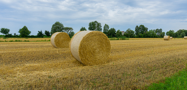 Grado, Italy - July 8, 2021: Straw bale on the field in cloudy day, with focus on the closest bale
