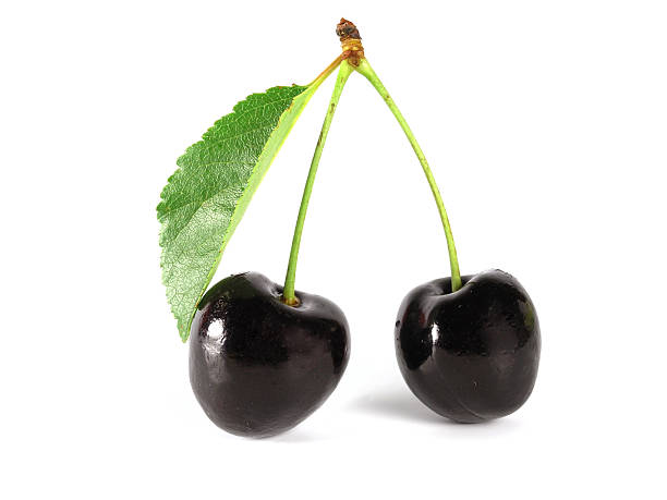 estate: ciliegio nero - black cherries foto e immagini stock