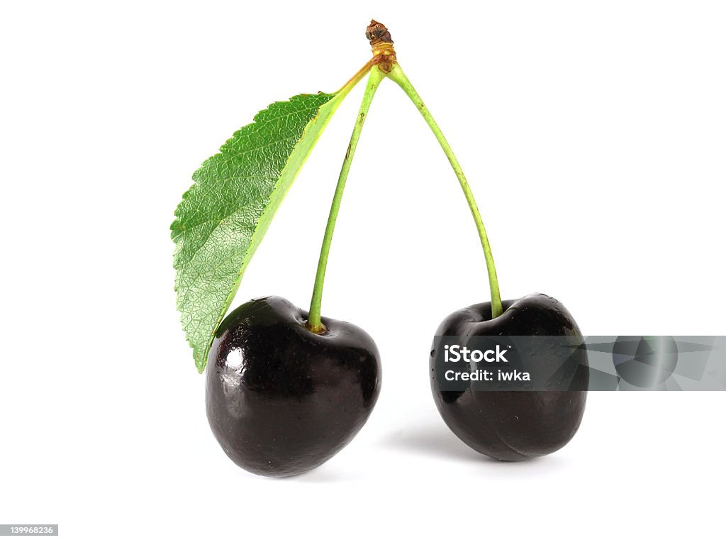Two black cherries on their vine black cherry Cherry Stock Photo