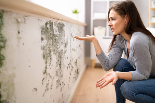 istock Shocked Woman Looking At Mold On Wall 1399683465