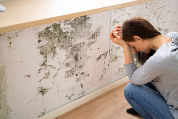 shocked woman looking at mold on wall - quality control examining house residential structure imagens e fotografias de stock