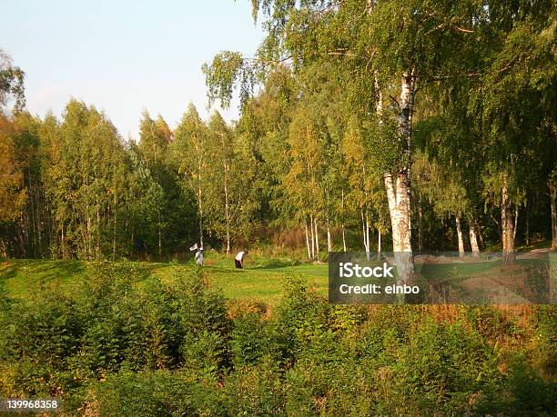 Golf - zdjęcia stockowe i więcej obrazów Drzewo - Drzewo, Fotografika, Golf - Sport