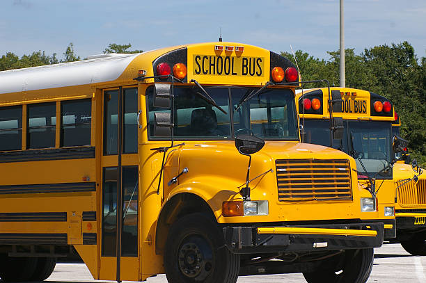 istock Yellow American school buses in parking lot 139968390