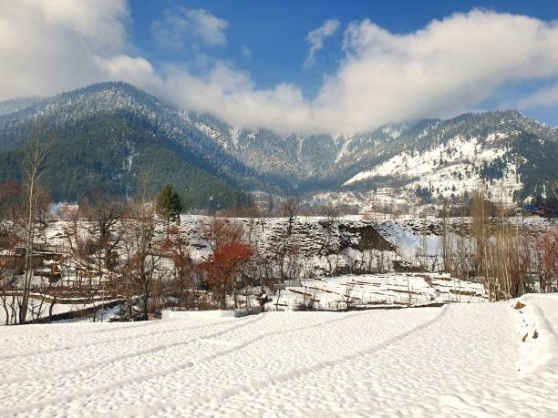 istock Heavy snow fall in Kashmir made whole valley white. 1399685724