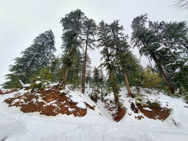 istock Heavy snow fall in Kashmir made whole valley white. 1399685745