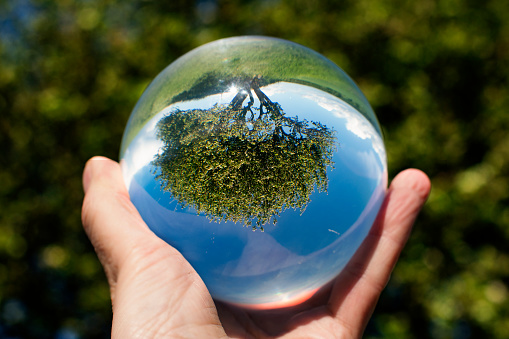 Photograhy taken in nature of a sweet little tree showed in a  crystalball. The photo shows how to be inspired by nature.