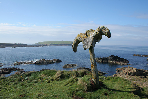 coastal view  of Birsay showing the tidal island with a whale bone in the foreground.