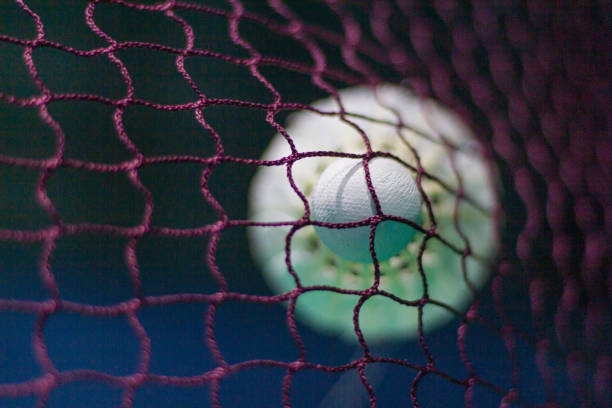 istock The shuttlecock is floating in a badminton court net 1399689217