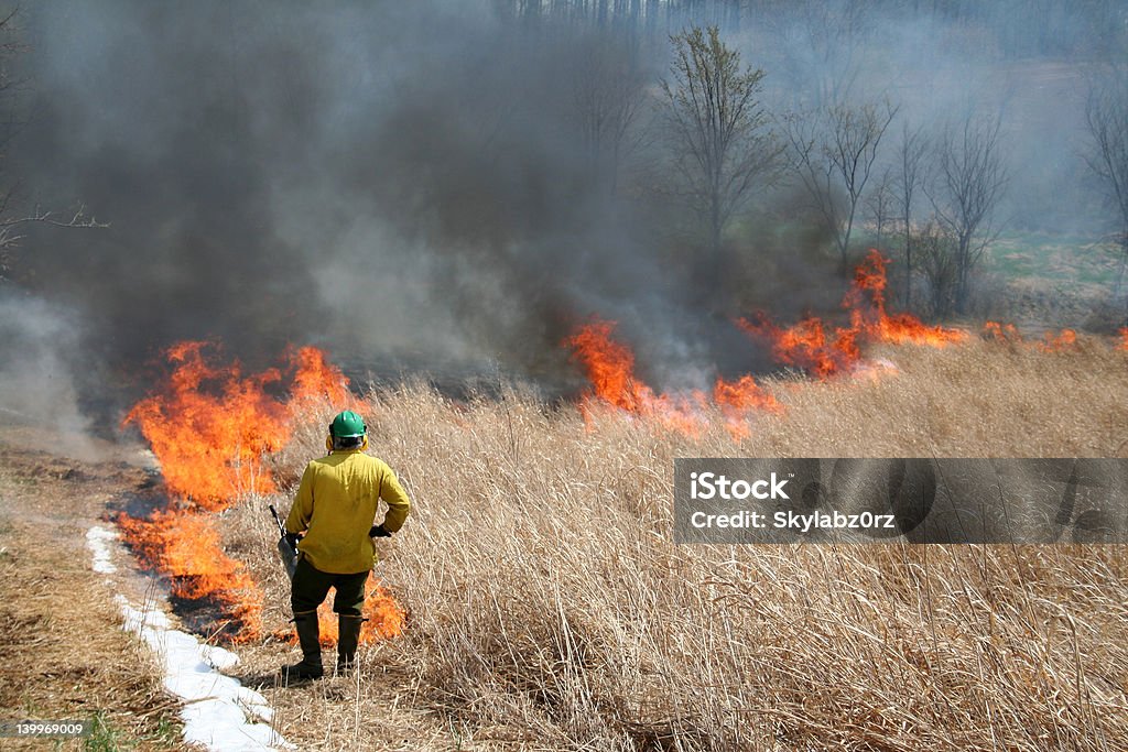 Wildland Fire Fighter A wildland fire fighter over seeing a controlled burn in progress. Fire - Natural Phenomenon Stock Photo