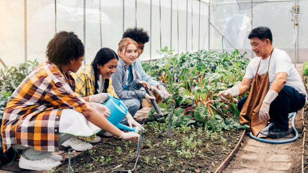 los adolescentes aprenden sobre la horticultura - school farm fotografías e imágenes de stock
