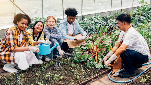 istock Teenagers learn about vegetable gardening 1399690496