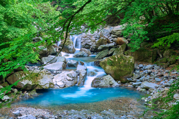 初夏の渓流 - water beauty in nature waterfall nikko ストックフォトと画像