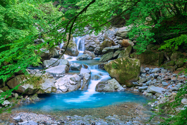 ранний летний горный ручей - nikko asia japan natural landmark стоковые фото и изображения