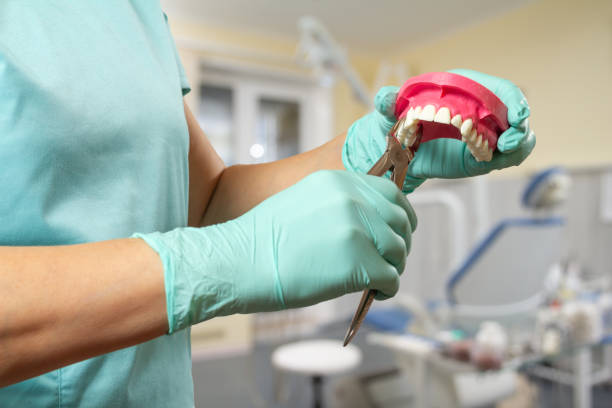 istock Dentist has extracted sick tooth from layout of the human jaw 1399691762