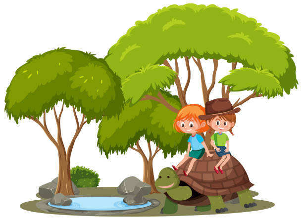 Girls riding turtle isolated Girls riding turtle isolated illustration wood turtle stock illustrations