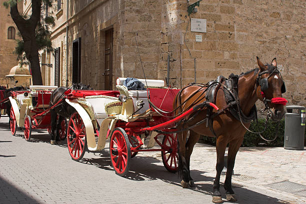 Horse & carriage 2 stock photo