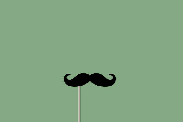 bildbanksillustrationer, clip art samt tecknat material och ikoner med false mustache on a green background. vector illustration - party hat