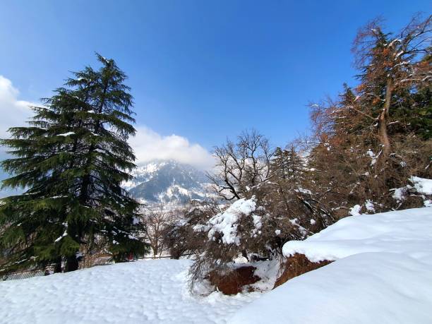istock Heavy snow fall in Kashmir made whole valley white. 1399697753