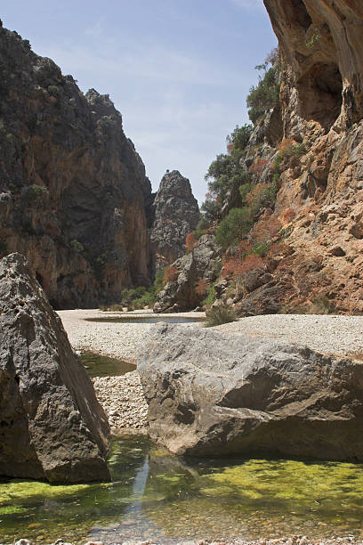 Dried river gorge stock photo