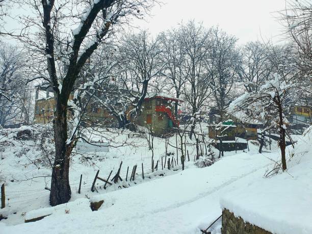istock Heavy snow fall in Kashmir made whole valley white. 1399700314