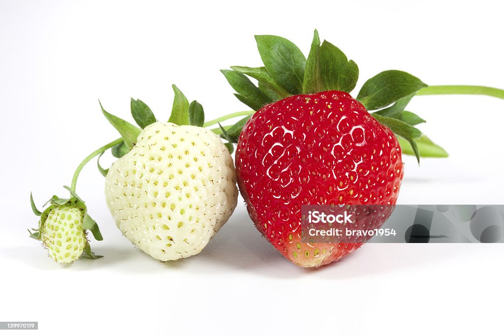 - Erdbeere - Lizenzfrei Beere - Obst Stock-Foto