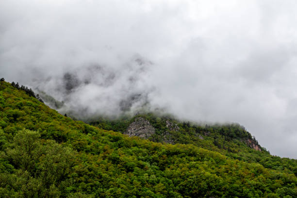istock Mountain forest in rainy weather covered with low overcast clouds 1399701583